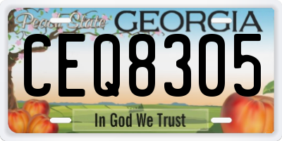 GA license plate CEQ8305