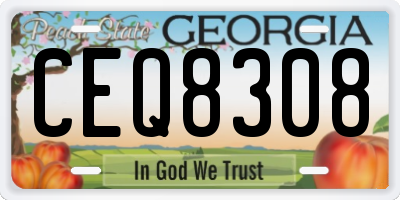 GA license plate CEQ8308