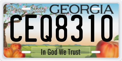 GA license plate CEQ8310