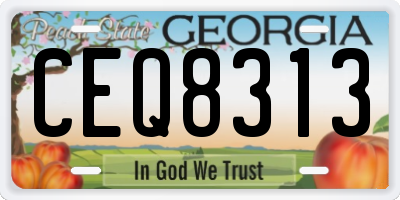 GA license plate CEQ8313
