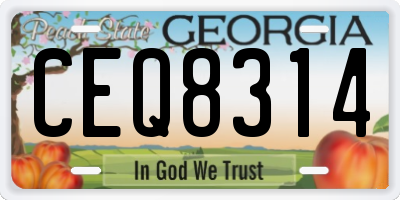 GA license plate CEQ8314