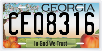 GA license plate CEQ8316