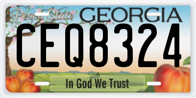 GA license plate CEQ8324