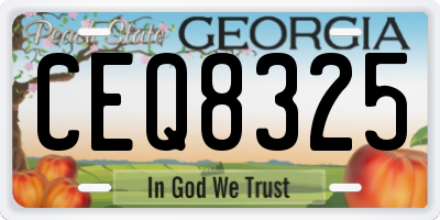 GA license plate CEQ8325