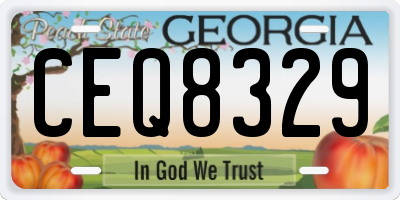 GA license plate CEQ8329