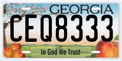 GA license plate CEQ8333