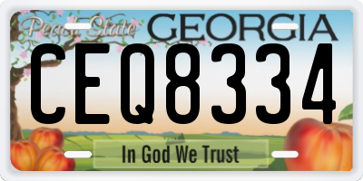 GA license plate CEQ8334