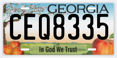 GA license plate CEQ8335