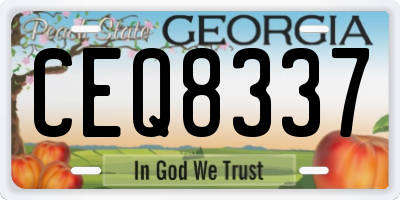 GA license plate CEQ8337