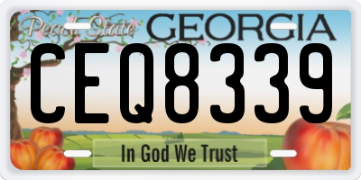 GA license plate CEQ8339