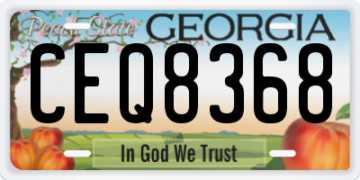 GA license plate CEQ8368