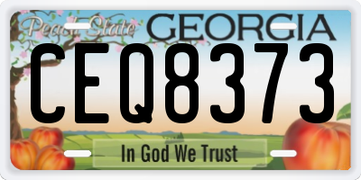 GA license plate CEQ8373