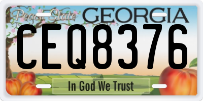 GA license plate CEQ8376