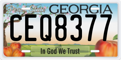GA license plate CEQ8377