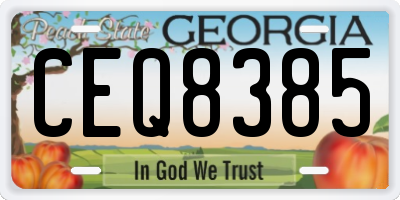 GA license plate CEQ8385