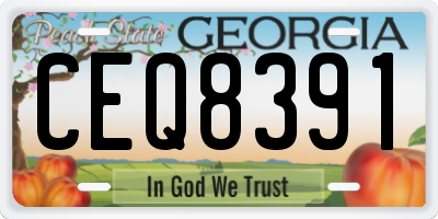GA license plate CEQ8391