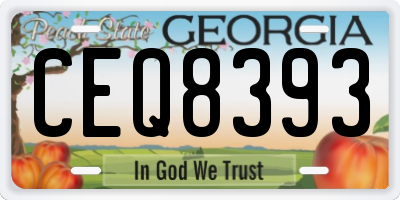 GA license plate CEQ8393