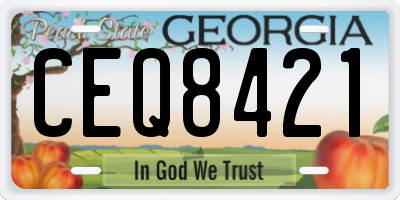 GA license plate CEQ8421