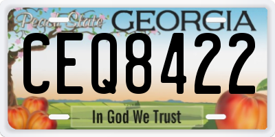 GA license plate CEQ8422
