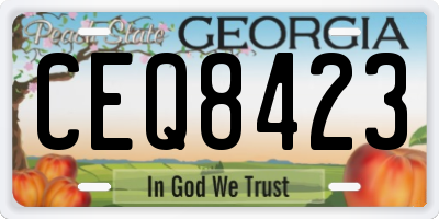 GA license plate CEQ8423
