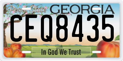 GA license plate CEQ8435