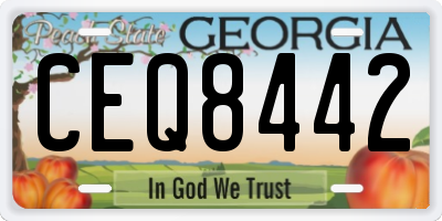 GA license plate CEQ8442