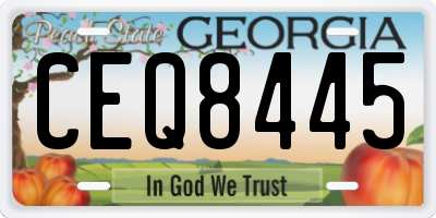 GA license plate CEQ8445