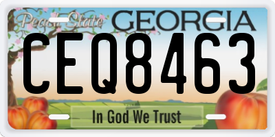 GA license plate CEQ8463