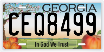GA license plate CEQ8499