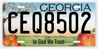 GA license plate CEQ8502