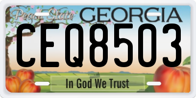 GA license plate CEQ8503