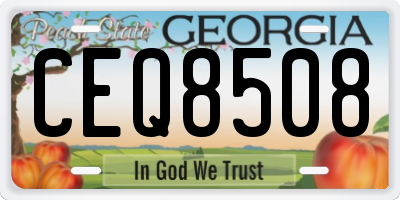 GA license plate CEQ8508