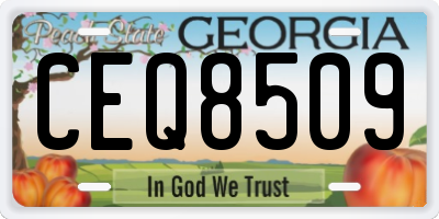 GA license plate CEQ8509