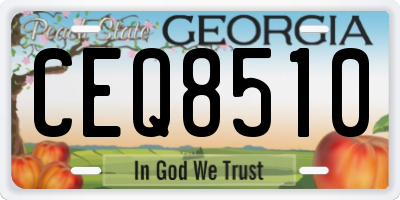 GA license plate CEQ8510