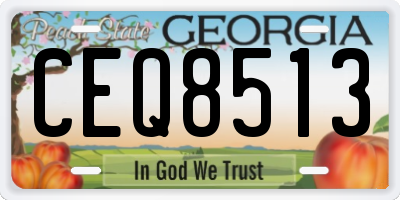 GA license plate CEQ8513