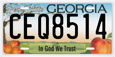 GA license plate CEQ8514