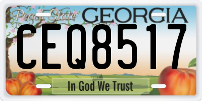 GA license plate CEQ8517