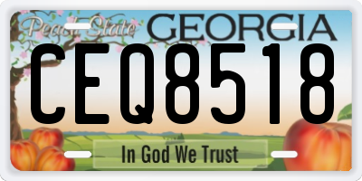GA license plate CEQ8518