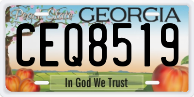 GA license plate CEQ8519