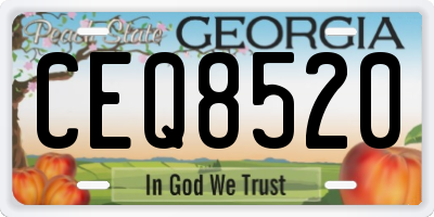 GA license plate CEQ8520