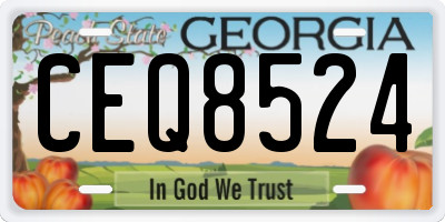 GA license plate CEQ8524