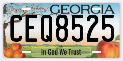 GA license plate CEQ8525