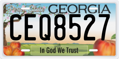 GA license plate CEQ8527