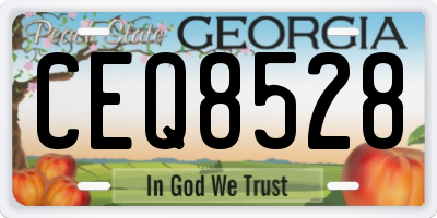 GA license plate CEQ8528