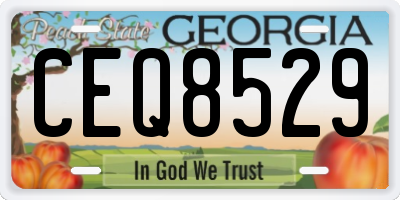 GA license plate CEQ8529