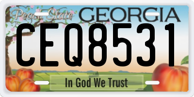 GA license plate CEQ8531