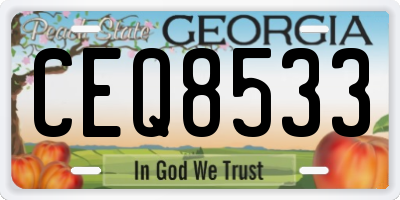 GA license plate CEQ8533