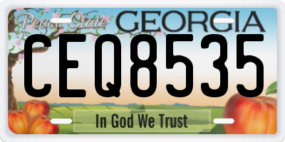 GA license plate CEQ8535