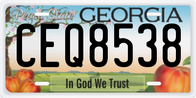 GA license plate CEQ8538