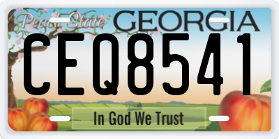 GA license plate CEQ8541